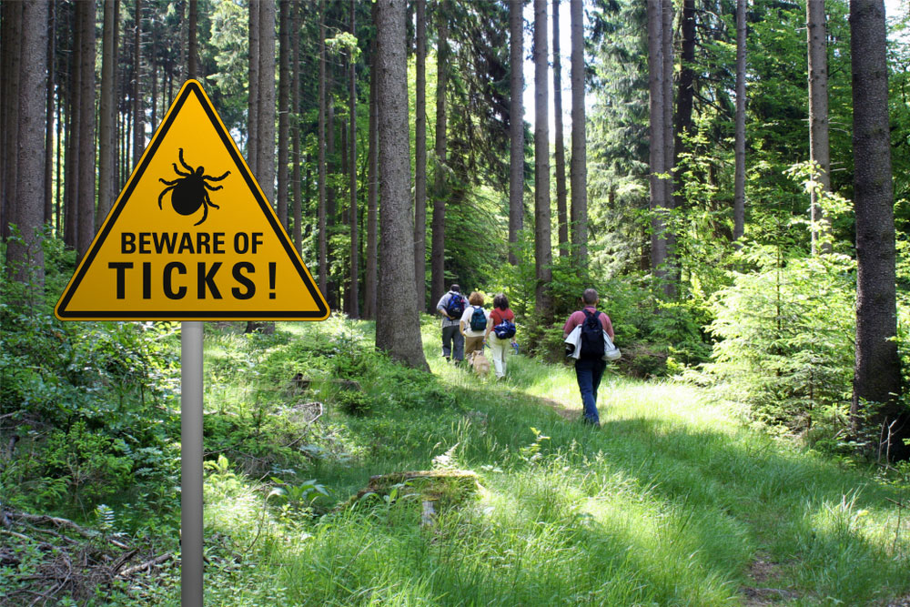 people walking in the woods with a beware of ticks sign