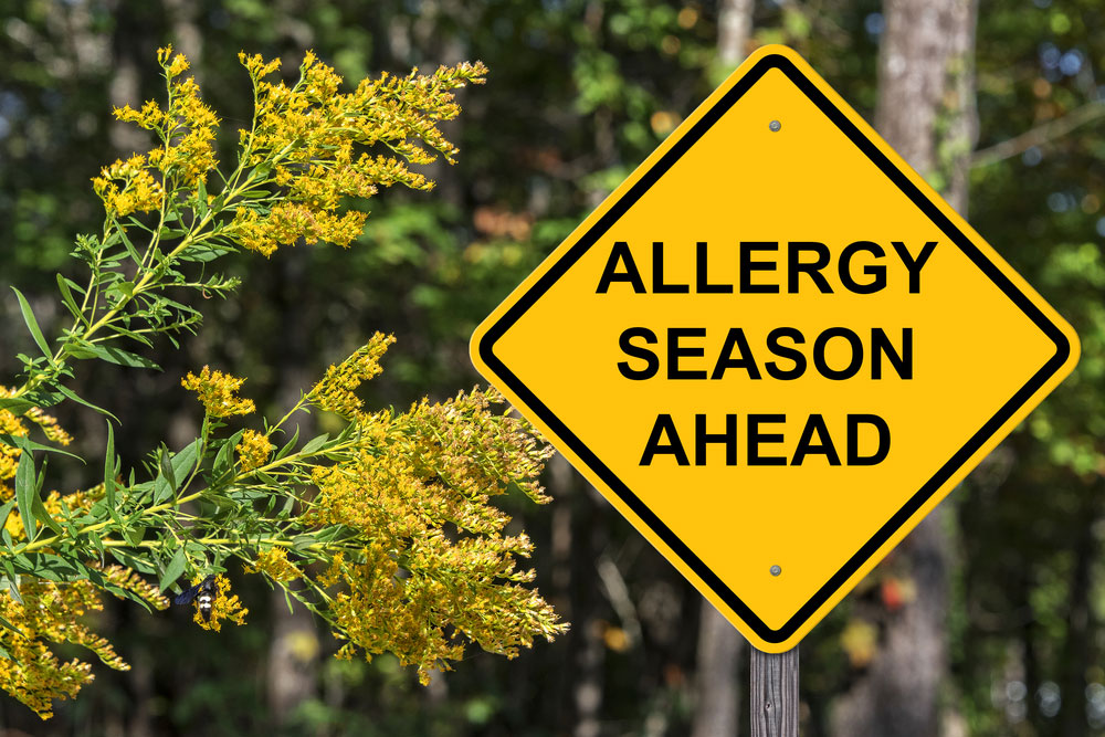caution sign that says allergy season ahead